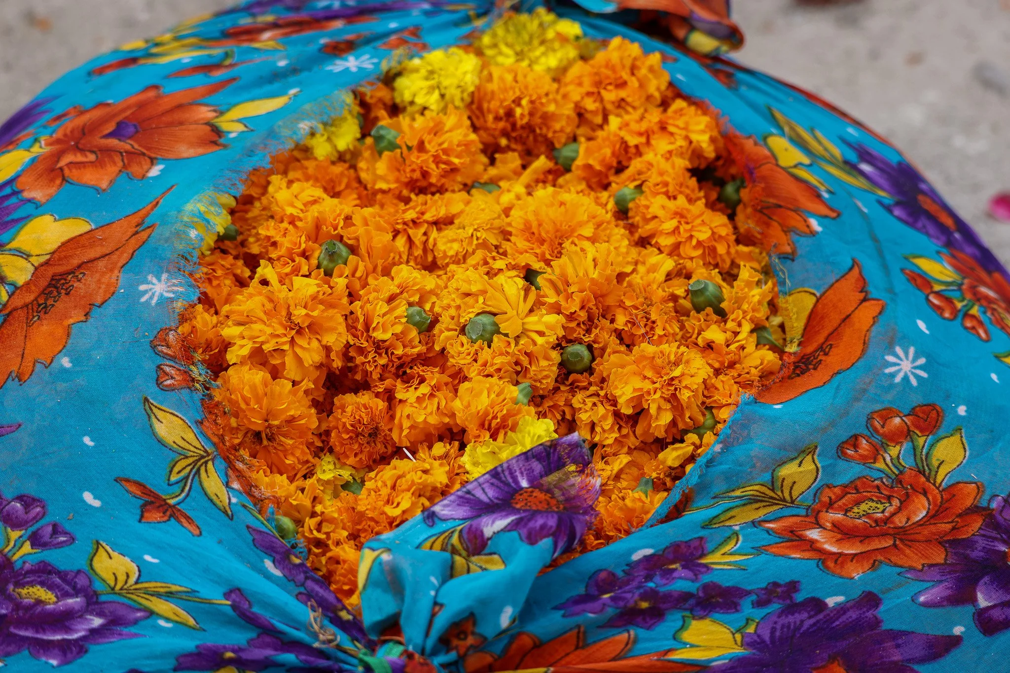 Marigolds in the Jaipur Market. Wrapped in a delicious sari.