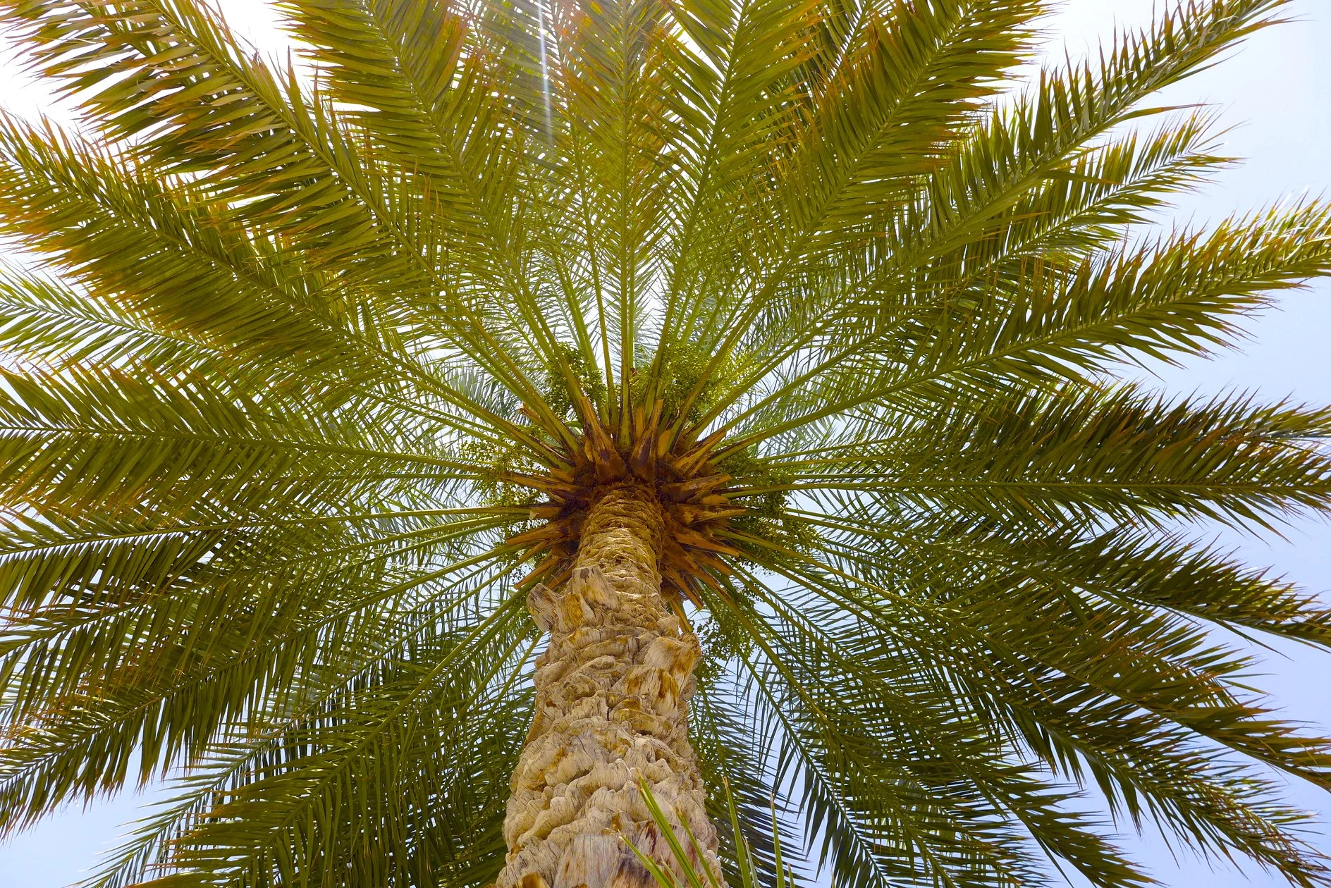 P1170203